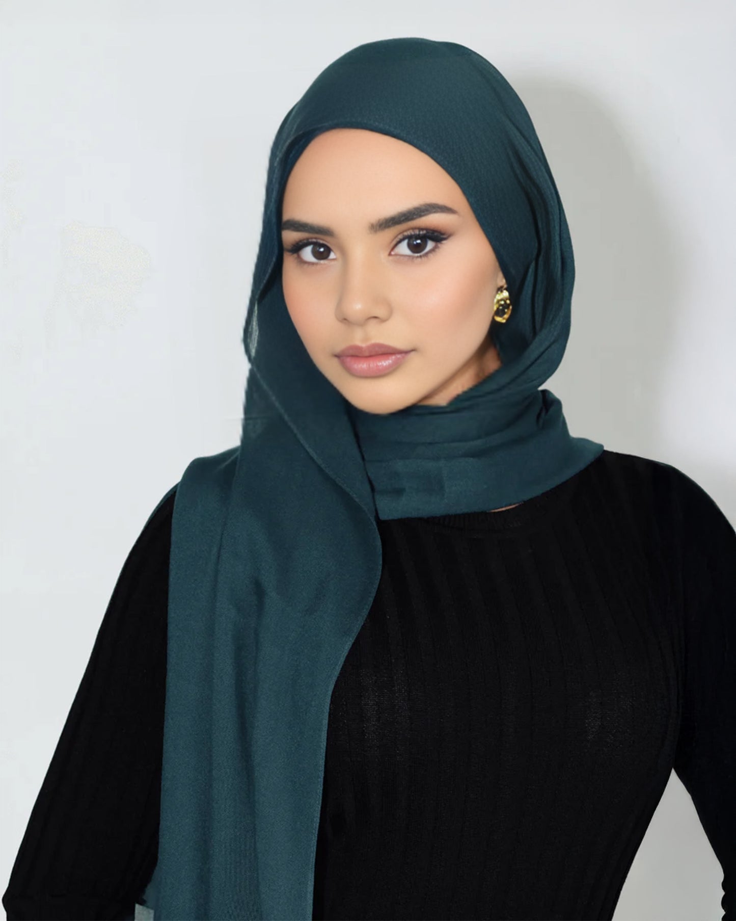 Teal Blue Premium Modal